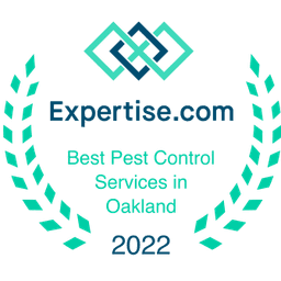 One of the Best Pest Control Services in Oakland 2022