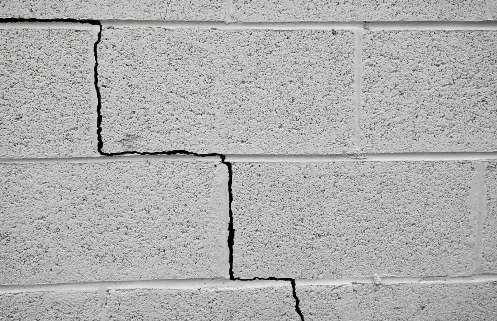Foundation Damage: How Water and Rodents Work Together