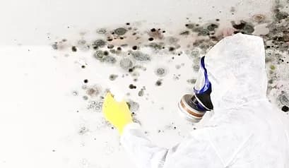 Spring Cleaning Checklist: Crawl Space and Foundation Edition
