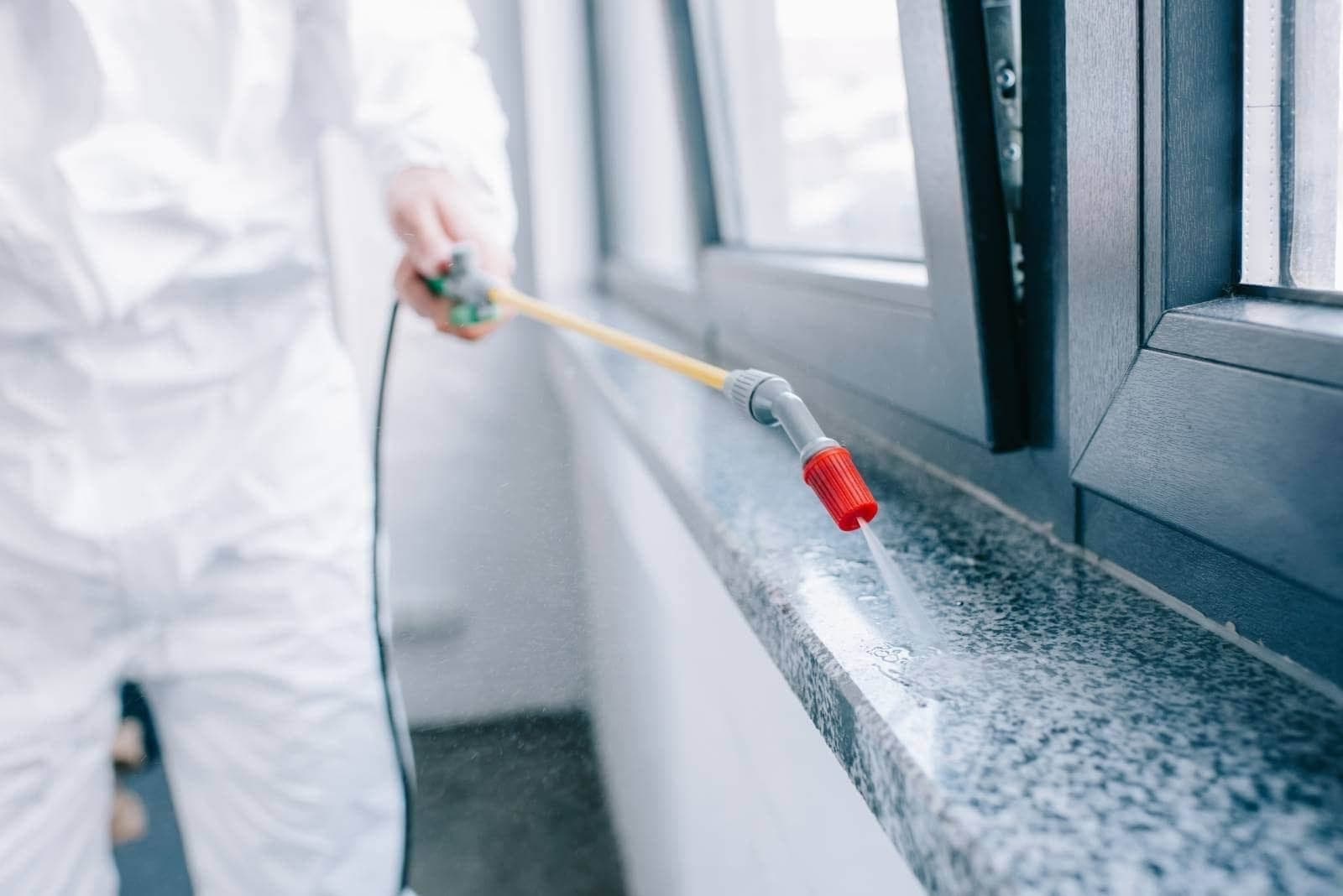 Natural Rodent Deterrents That Actually Work