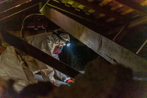 4 Reasons Why You Might Need Insulation Removal Services