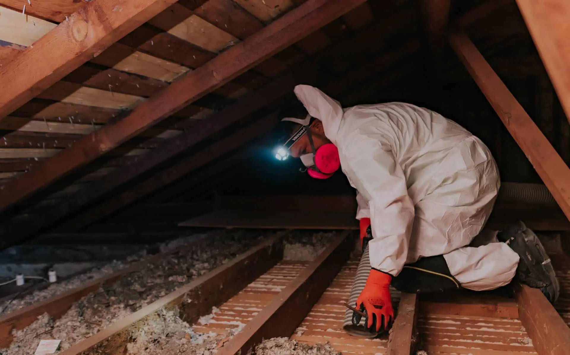 Attic Cleaning Guide: Stop Rodents Before They Spread