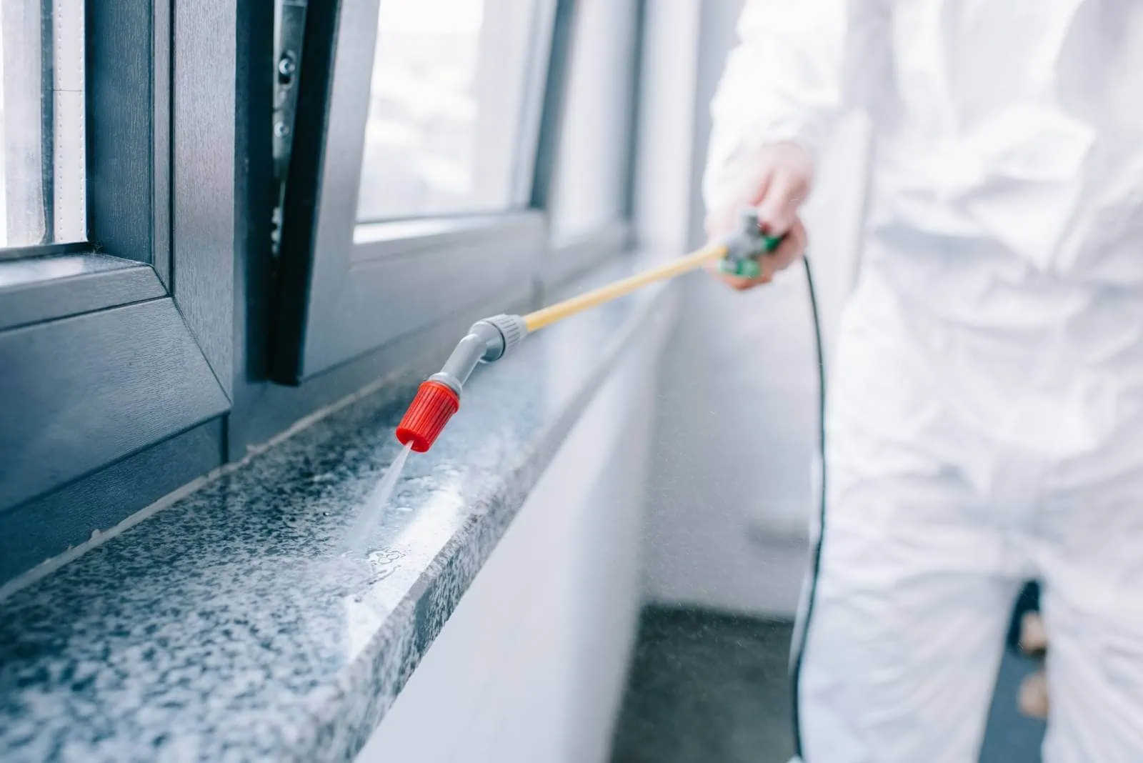 Rodent-Proofing Entry Points: Where to Seal Before the Freeze