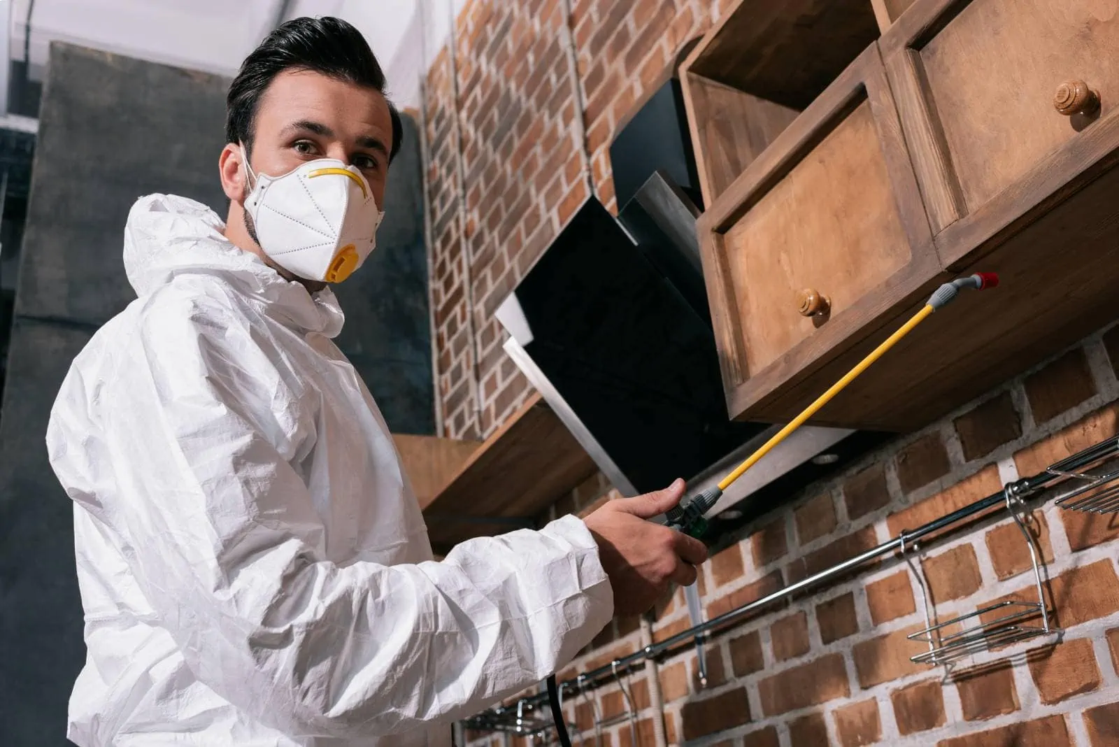 Pre-Holiday Cleanup: Declutter to Deter Pests