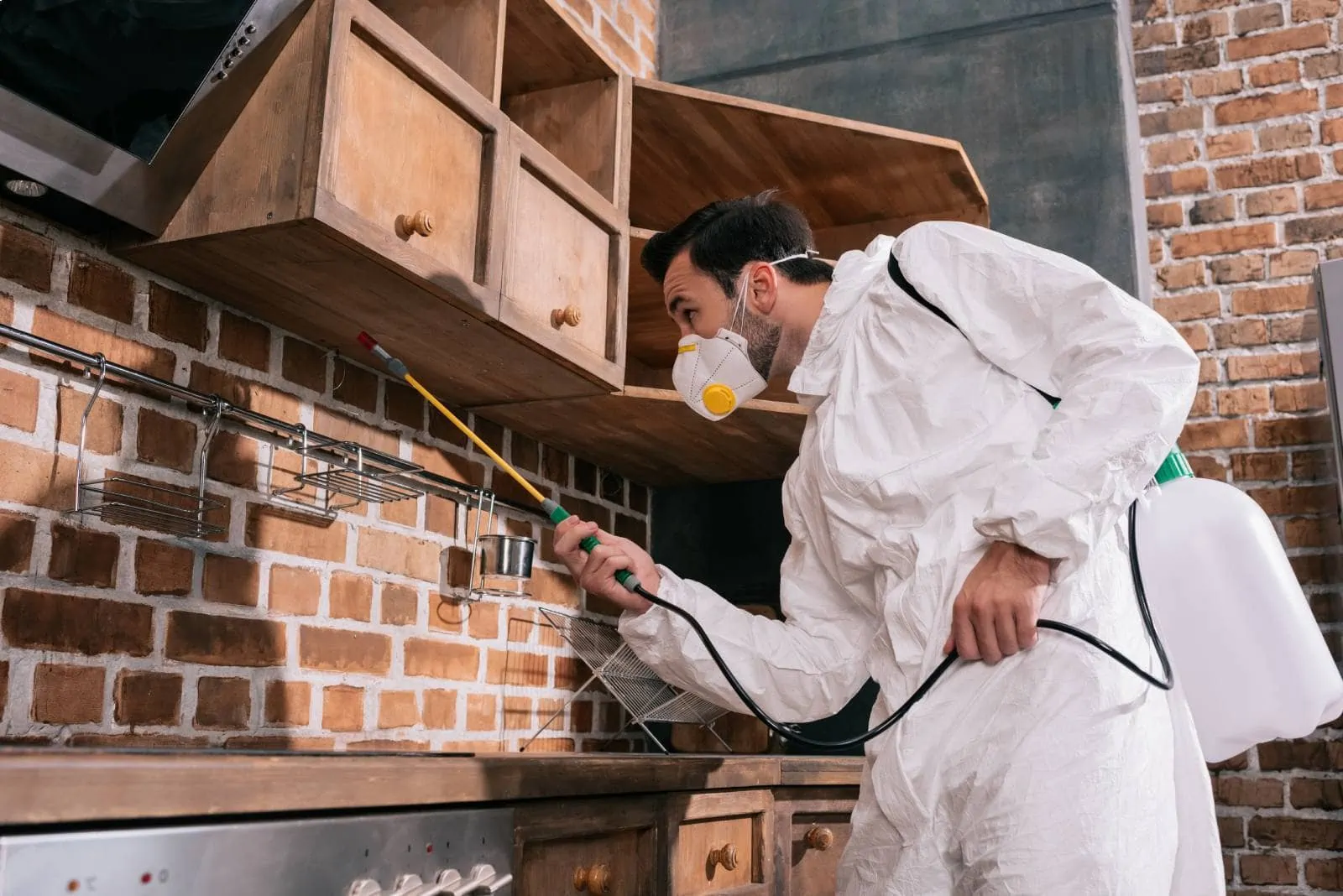 Technician sealing rodent entry points