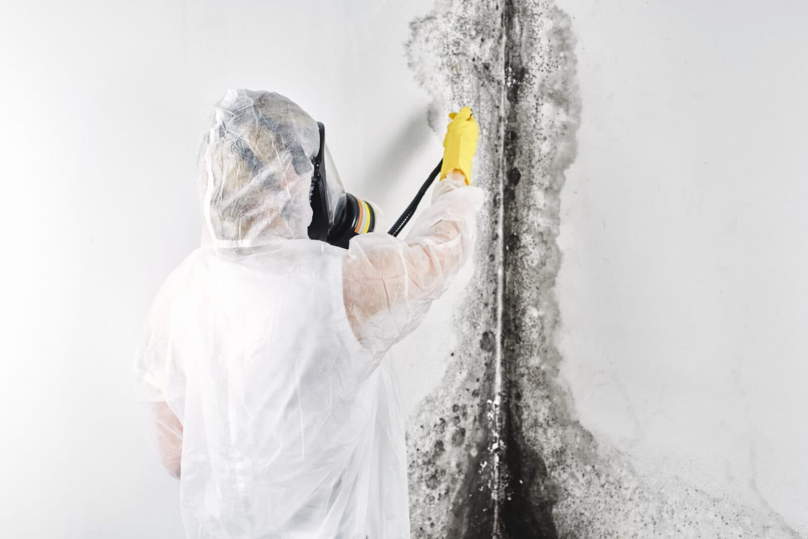 Crawl Space Mold Removal