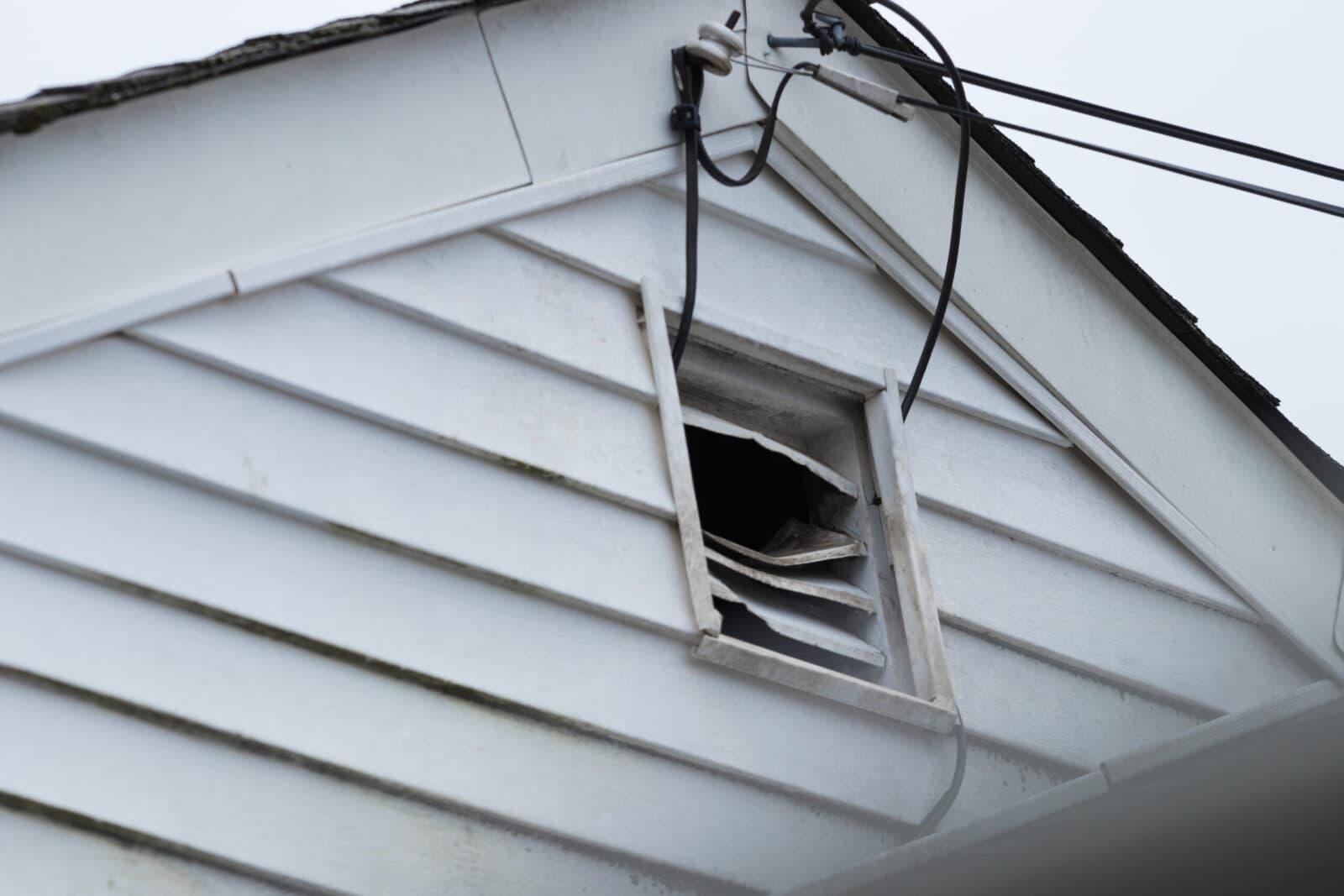 Can Squirrels Cause Damage To My Property?