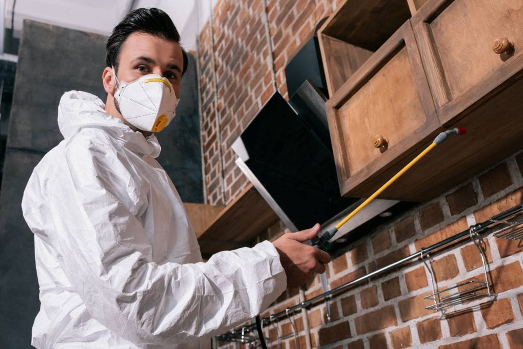 Attic pros professional spraying pesticide around wooden cabinets