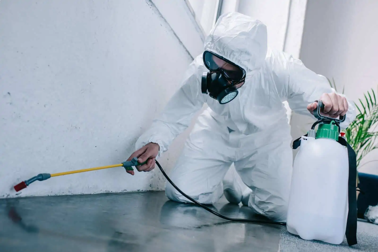 Attic Pros expert spraying presticide in white uniform and mask
