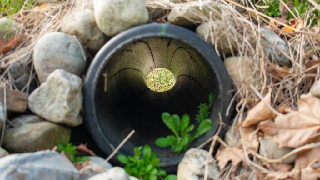 French Drain Basement Cleaning Contractors