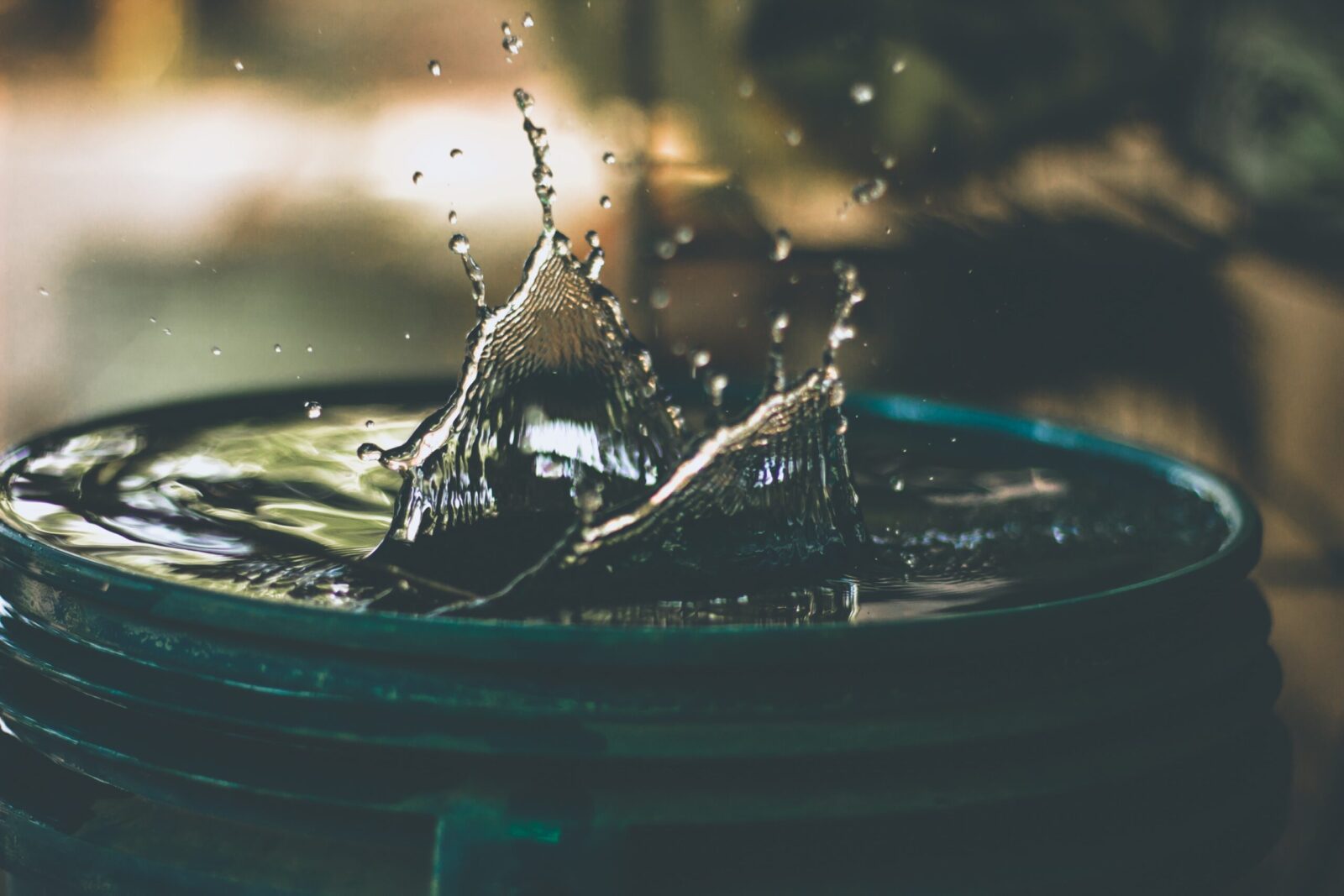 Water Damage in the Attic - What To Do Next