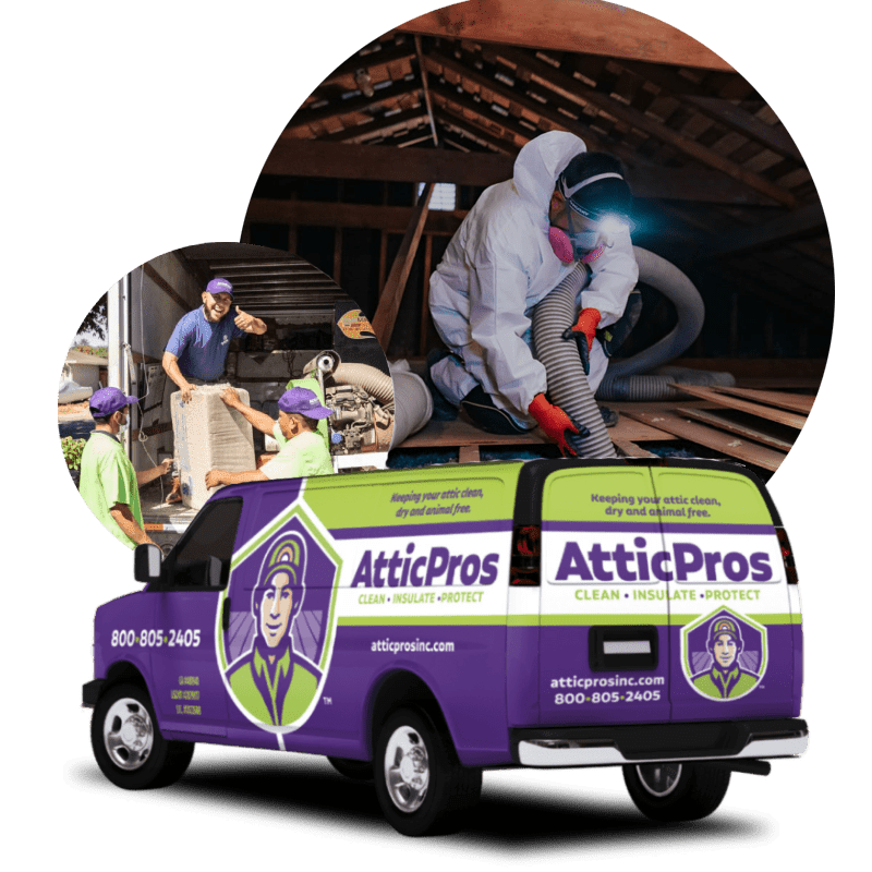 AtticPros: Comprehensive Attic Cleanup and Restoration Services - Attic ...