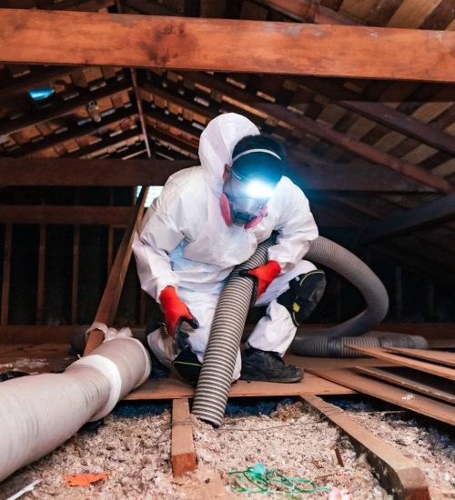 Attic Pros professional removing insulation