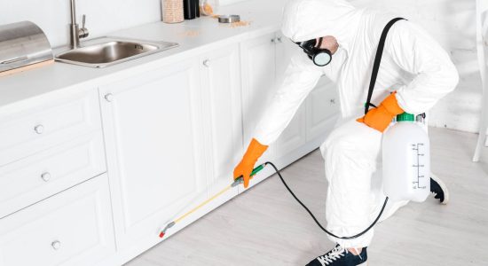 Attic Pros with white gloves and white protective suit spraying pesticide in white kitchen