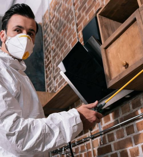 Attic pros professional spraying pesticide around wooden cabinets